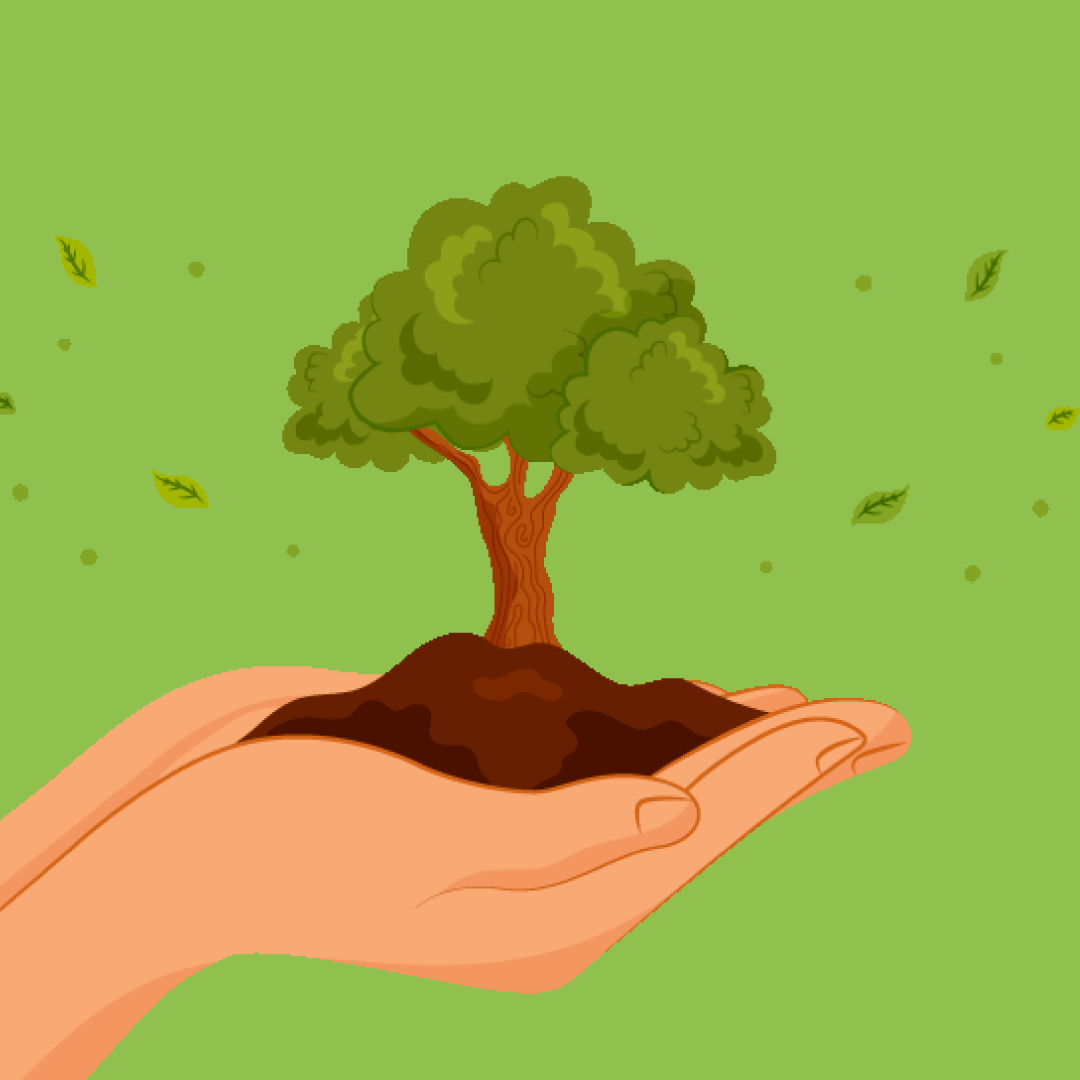 Opération « La Ville vous offre un arbre »