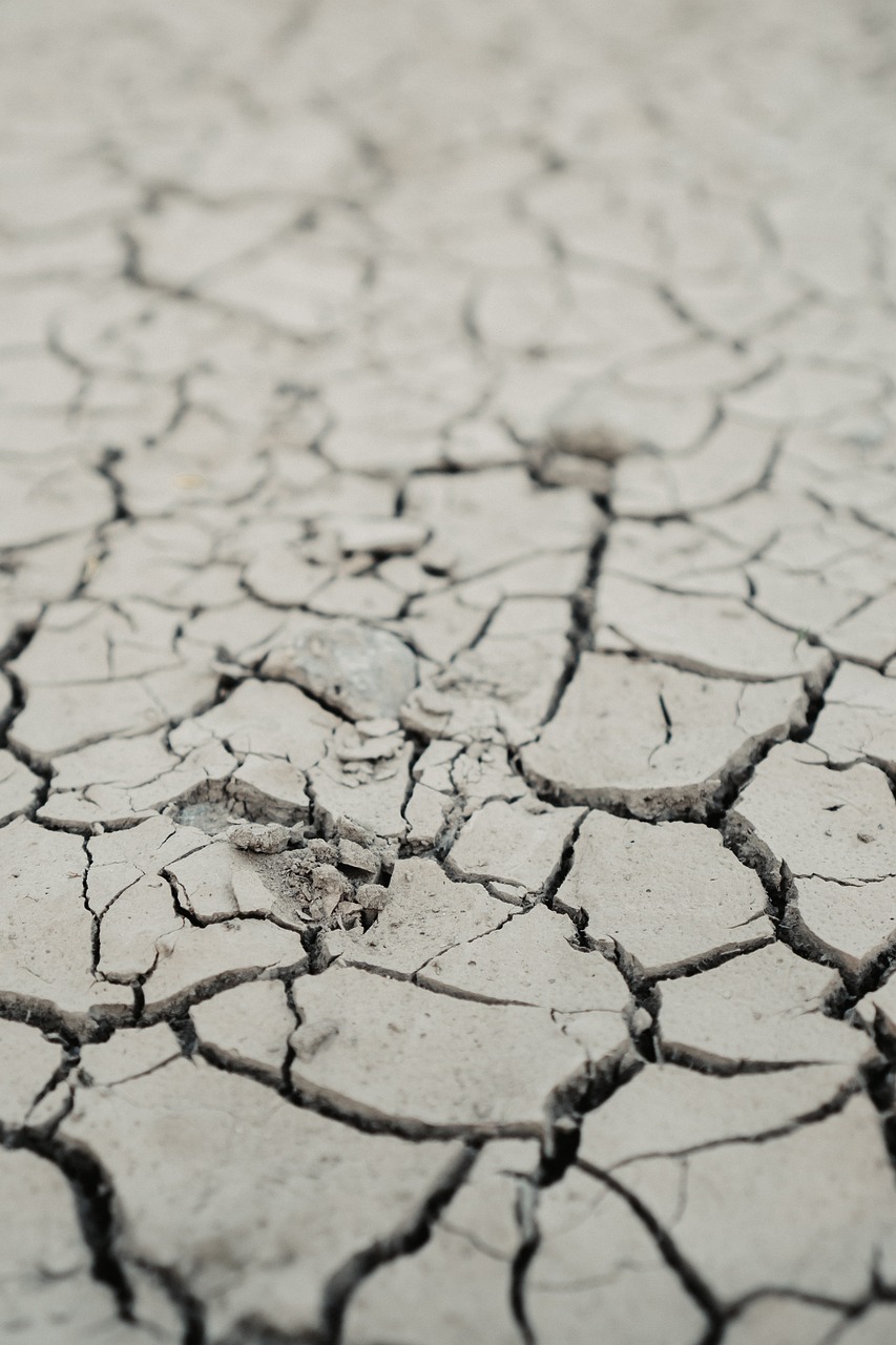 Décision de non reconnaissance de l’état de catastrophe naturelle – aléa sécheresse en 2022